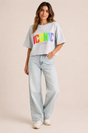 Sweatshirt ICONIC gris brodé à manches courtes